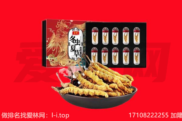 顺昌县回收虫草.jpg